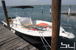 White Shark 246 | 5694