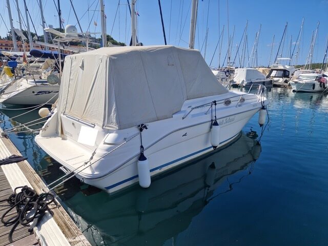 PHOTO-2025-11-19-12-14-15-3