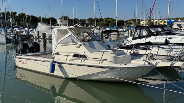 Boston Whaler 25 T-TOP Walk-Around – €48,000